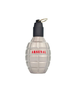 ARSENAL MADERA CINZA EDP M 100ML