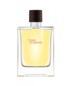HERMES TERRE'D EDT M 100ML - Imagen 2