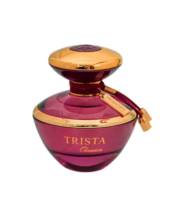 A  DUMONT TRISTA OBSESSION EDP F 100ML