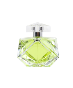 BRITNEY SPEARS BELIEVE EAU DE PARFUM 100ML