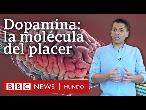 El Poder de las Fragancias: Cómo los Olores Influyen en Nuestro Estado de Ánimo El Poder de las Fragancias: Cómo los Olores Influyen en Nuestro Estado de Ánimo